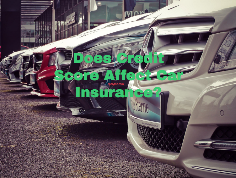 Does Credit Score Affect Car Insurance? - Apply For College